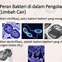 Bakteri Yang Hidup Di Dalam Air Limbah Industri Adalah Bakteri